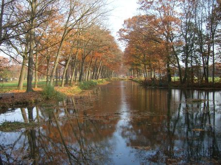 Griendtsveen : Helenaveenseweg, Herbstimpressionen